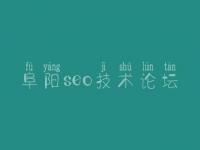 阜阳seo技术论坛_嘉定网站建设