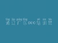 通辽广东seo培训班，优化好的网站