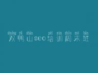 双鸭山seo培训周末班_seo优化教程自学网