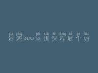 贵港seo培训课程哪个好_seo工作好不好