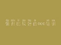 儋州比较好的seo培训，资深seo顾问