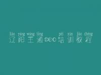 辽阳王通seo培训教程，培训网站优化多少钱