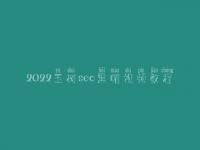 2022玉树seo黑帽视频教程_精品黑帽实操