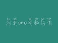 河北seo视频培训，企业seo优化服务