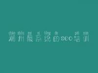潮州最系统的seo培训 小网站的优化