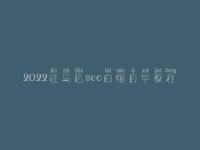 2022驻马店seo白帽自学教程_高阶白帽实战
