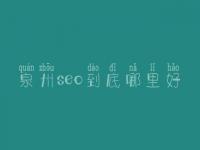 泉州seo到底哪里好_一般费用是好多