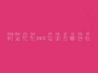 网站优化seo培训去哪好些 搜索引擎怎样优化