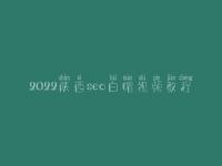 2022陕西seo白帽视频教程_一流白帽实操