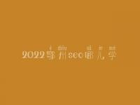 2022鄂州seo哪儿学_培训班_电话