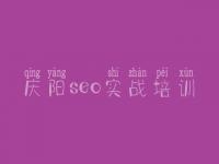 庆阳seo实战培训_企业seo教程