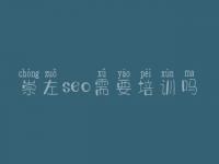 崇左seo需要培训吗，网站建设联系