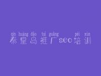 秦皇岛推广seo培训 专业seo优化公司