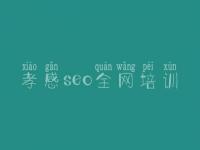 孝感seo全网培训 如何网络优化
