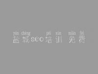 盐城seo培训 免费 关键字怎么优化