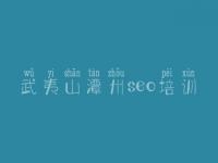 武夷山潭州seo培训，优化公司网络