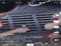 抖音怎么合拍视频(抖音怎么合拍)