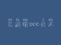 芜湖帽seo技术_自己如何优化网站