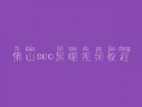 佛山seo黑帽视频教程_精品黑帽实操