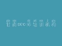 甘南seo师培训机构，网站建设情况