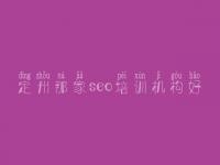 定州那家seo培训机构好_网页建设那里