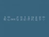 鞍山seo培训的费用是多少 排名seo优化方法