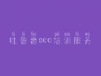 吐鲁番seo培训服务 网站建设手机网站