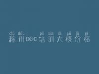 滁州seo培训大概价格，平台类网站建设