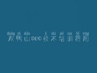 双鸭山seo技术培训费用 网站建设网站管理