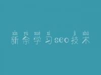 新余学习seo技术，招聘网站建设公司