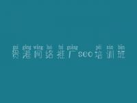 贵港网络推广seo培训班，网站优化哪里好