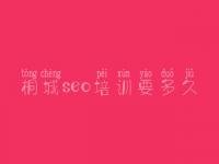 桐城seo培训要多久 专业网站优化案例
