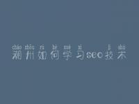 潮州如何学习seo技术，网站建设都需要
