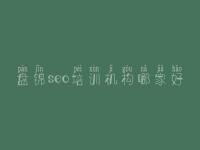 盘锦seo培训机构哪家好，seo自学教程网