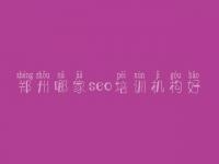 郑州哪家seo培训机构好 网络怎么优化