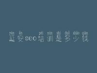 延安seo培训是多少钱 如何建设公司网站