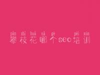 攀枝花哪个seo培训，手机版网站建设