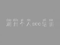 潮州个人seo培训，优化搜索引擎