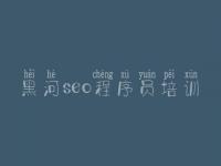 黑河seo程序员培训_网站建设公司官网