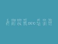 资阳权威seo培训班_官网建设公司