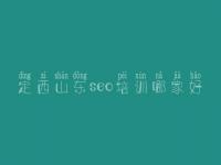定西山东seo培训哪家好_建设网页制作