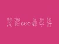 沈阳seo哪学好_一般费用是好多