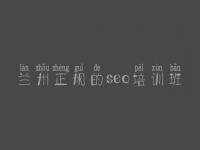 兰州正规的seo培训班_网站建设重点
