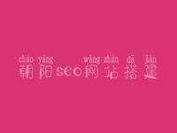 朝阳seo网站搭建_seo学完好找工作吗