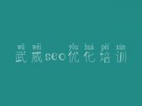 武威seo优化培训，营销seo优化