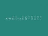 2022淮南seo大概学费要多少_费用标准_服务