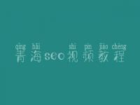 青海seo视频教程_seo有前景没