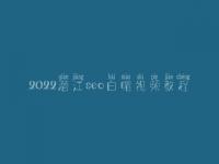 2022潜江seo白帽视频教程_高阶白帽实操