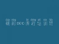 朝阳seo课程培训班，网站建设好的