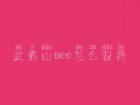 武夷山seo怎么收费_地址_电话